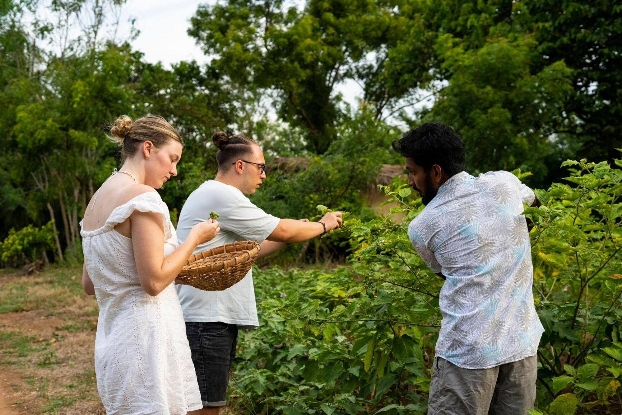 River Paradise Safari House With Cooking Class Udawalawe Εξωτερικό φωτογραφία