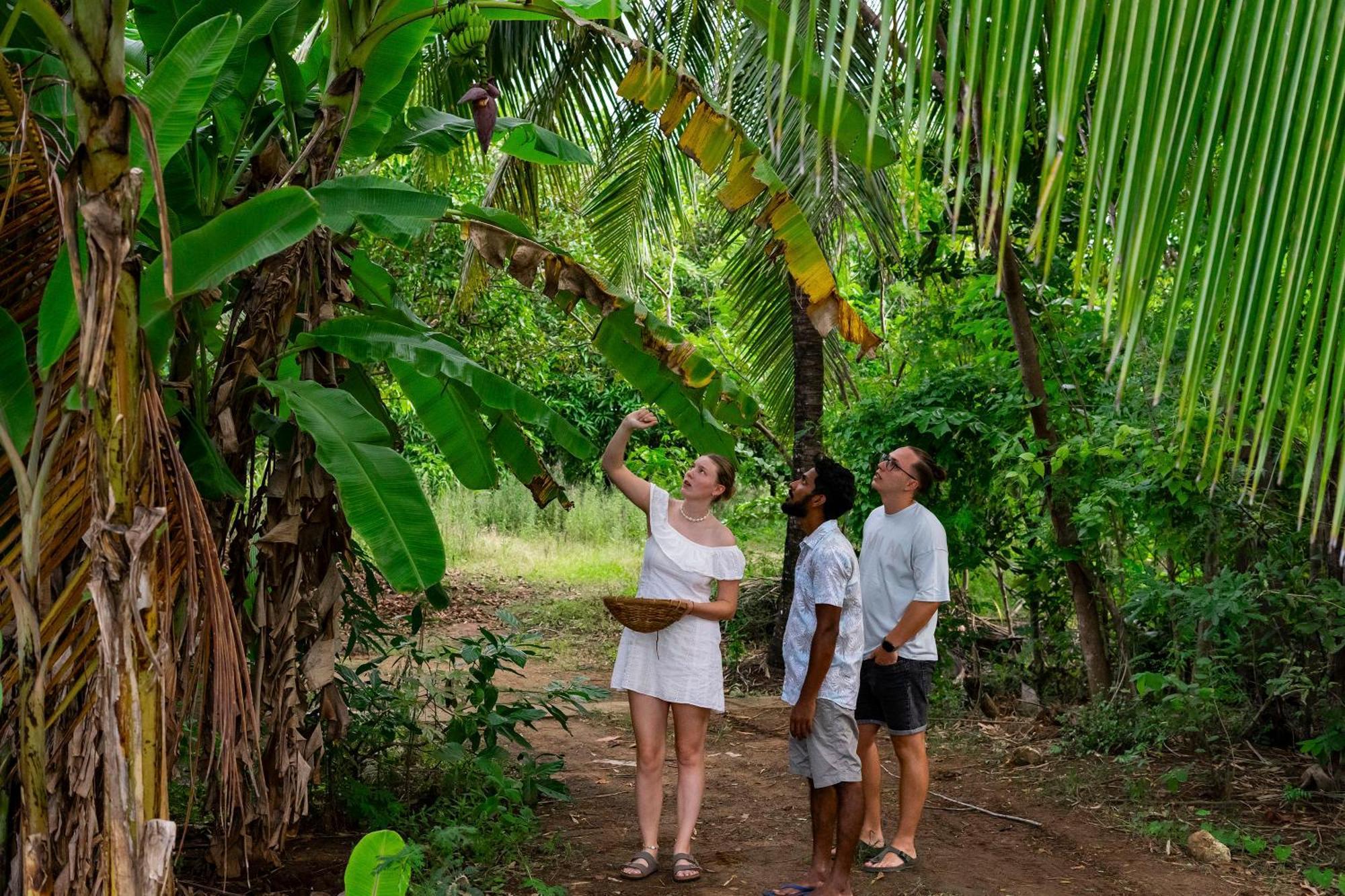 River Paradise Safari House With Cooking Class Udawalawe Εξωτερικό φωτογραφία