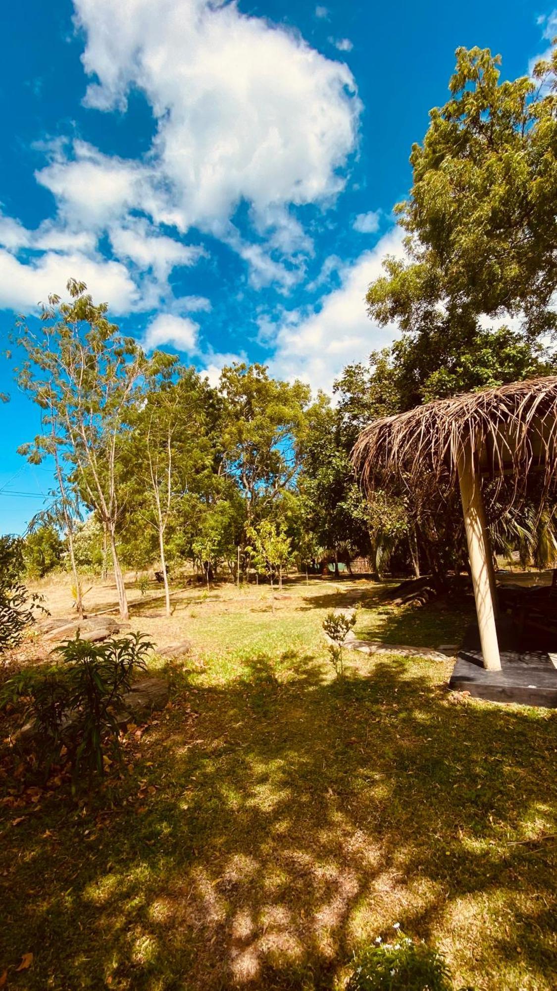River Paradise Safari House With Cooking Class Udawalawe Εξωτερικό φωτογραφία