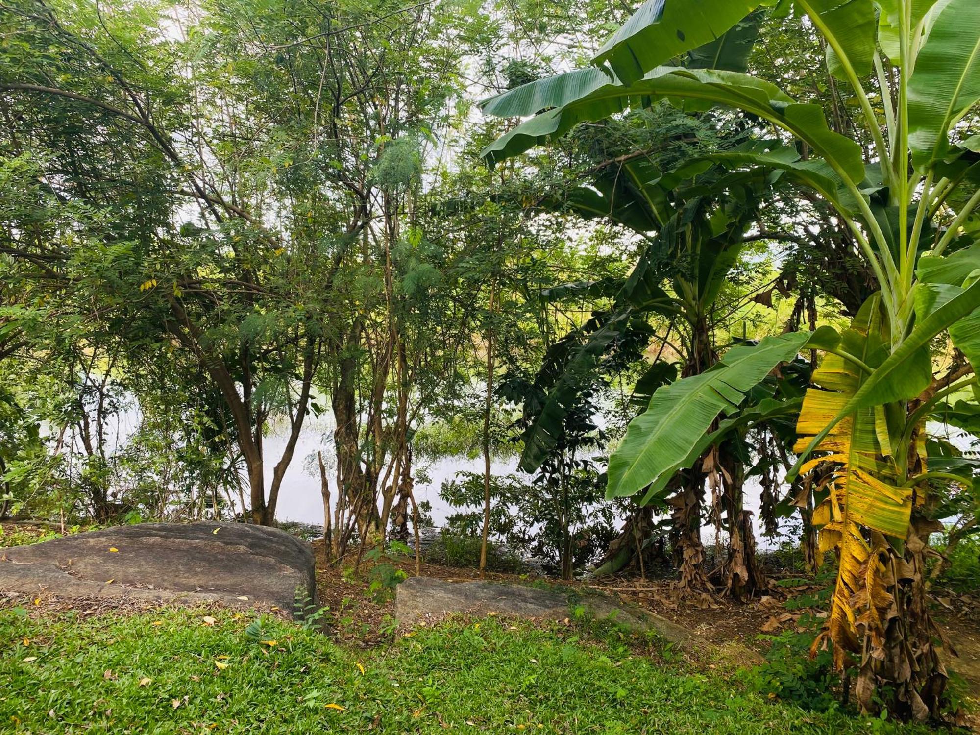 River Paradise Safari House With Cooking Class Udawalawe Εξωτερικό φωτογραφία
